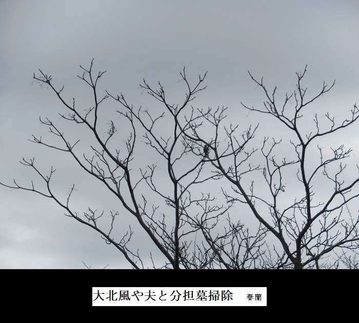 大北風や夫と分担墓掃除