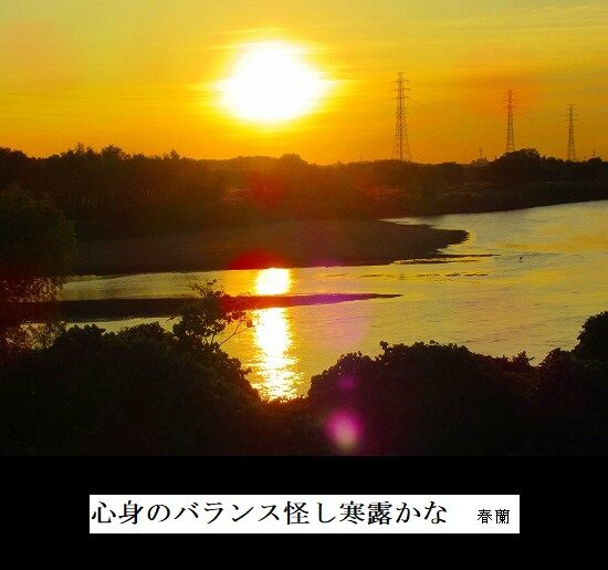 5-IMG_9904.jpg寒露