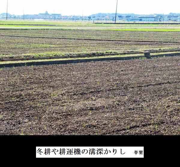 冬耕や耕運機の溝深かりし