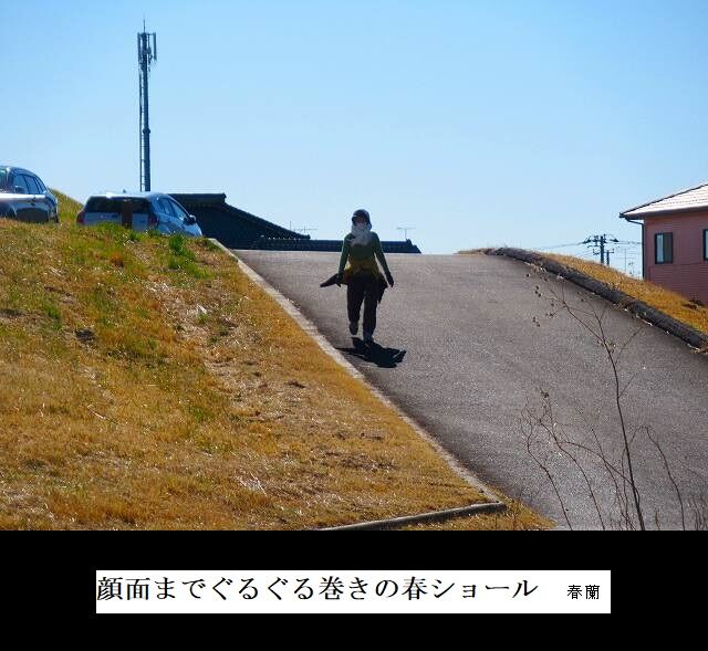 顔面までぐるぐる巻きの春ショール