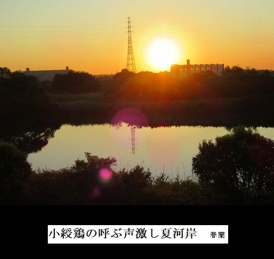 5-IMG_9382.jpg夏河岸