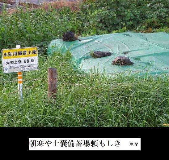 朝寒や土嚢備蓄場頼もしき