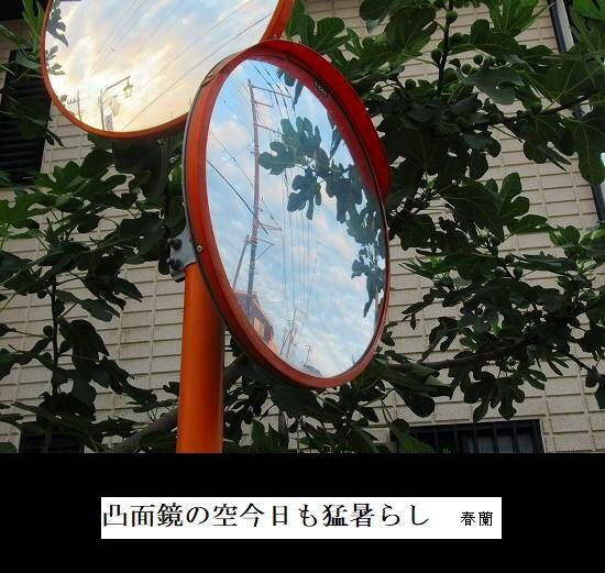 凸面鏡の青空今日も猛暑らし