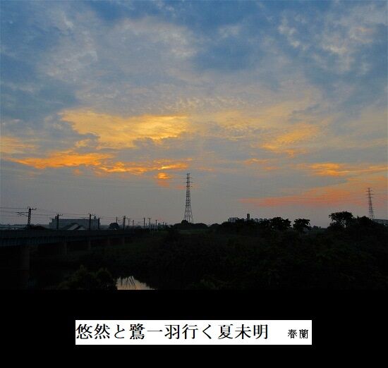 5-IMG_9574.jpg夏未明