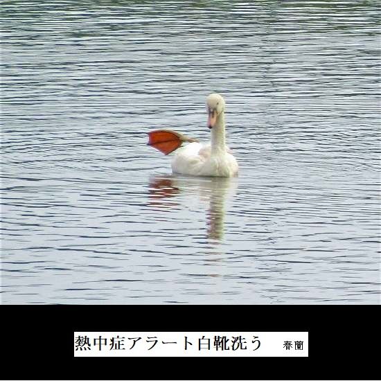 5-IMG_3068.jpg白靴