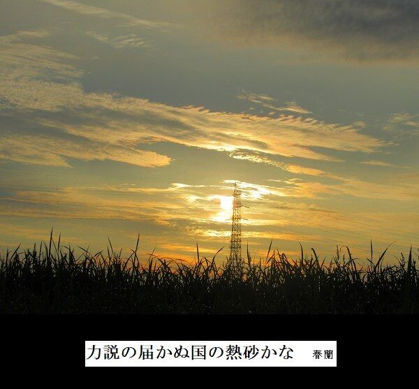 力説の届かぬ国の熱砂かな