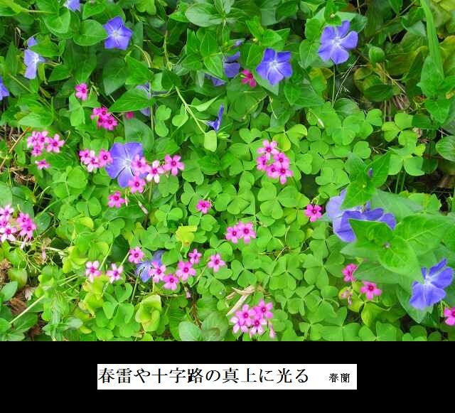春雷や十字路の真上に光る