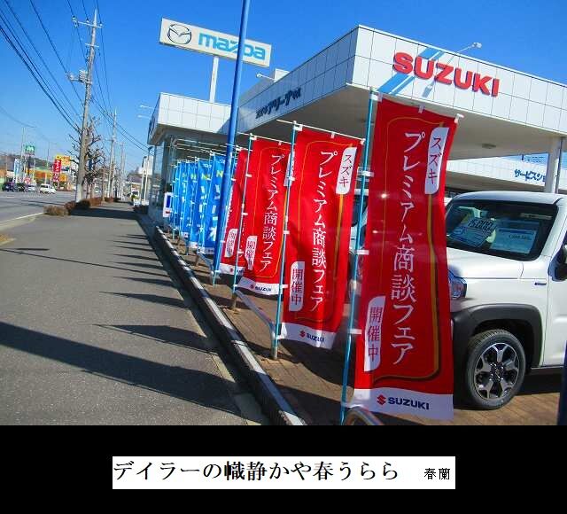 デイラーの幟静かや春うらら