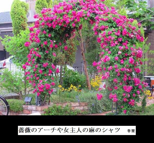 薔薇のアーチや女主人の麻のシャツ