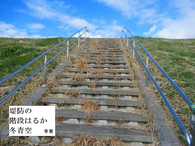 堤防の階段はるか冬青空