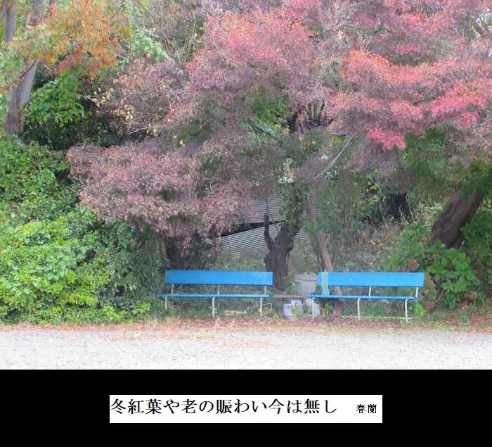 冬紅葉や老の賑わい今は無し