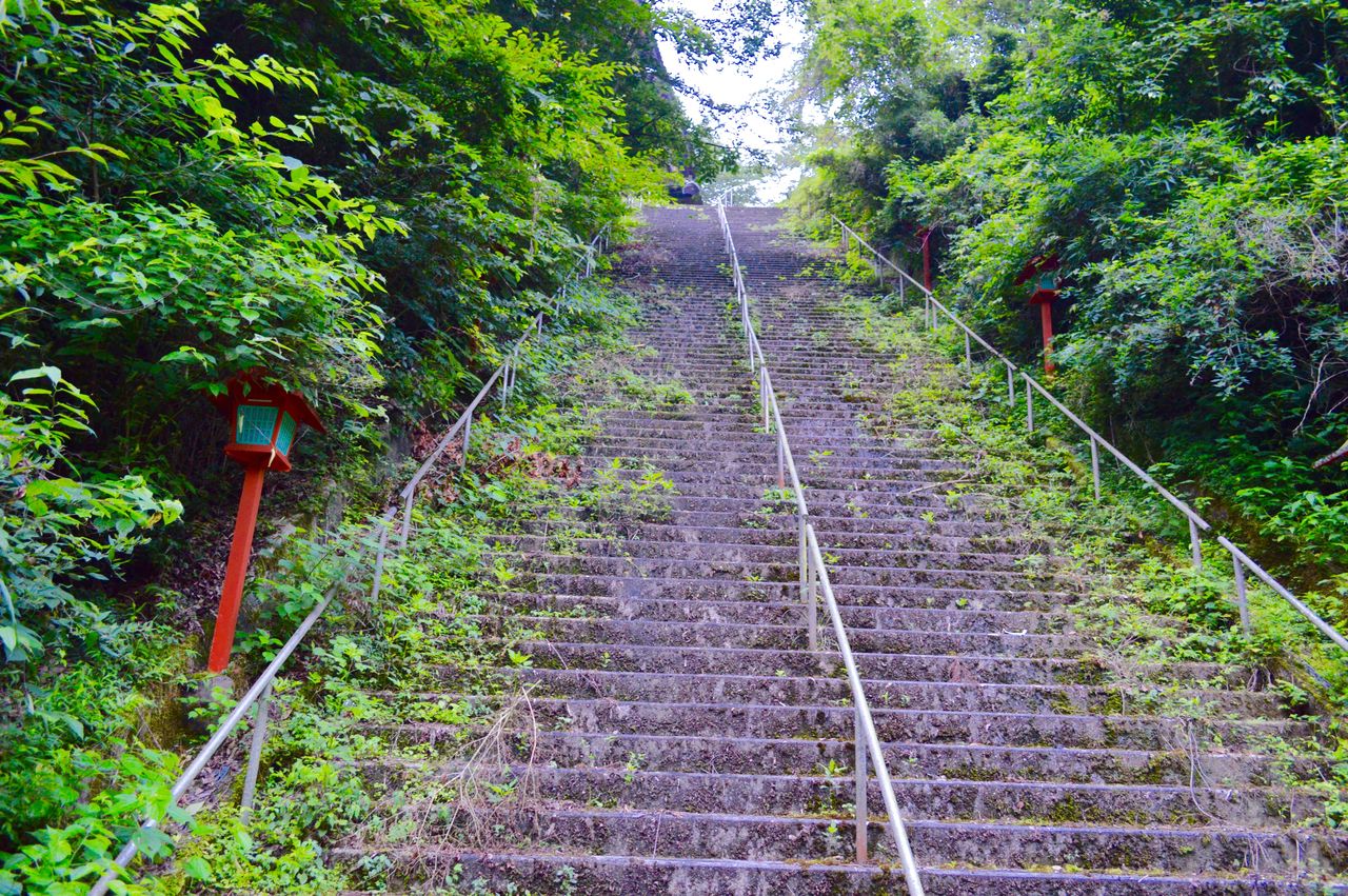17年8月5日 詐欺寺 森のブラ寺 廃墟店長 17年8月5日 詐欺寺 森のブラ寺 廃墟店長