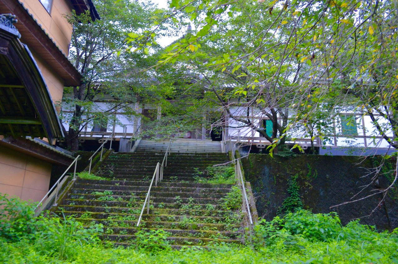 17年8月5日 詐欺寺 森のブラ寺 廃墟店長 17年8月5日 詐欺寺 森のブラ寺 廃墟店長