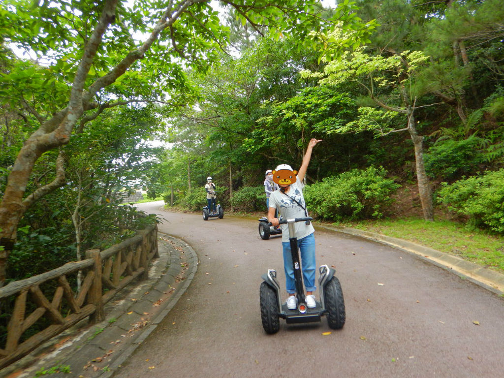 グリーーーーンな世界 はいむるぶしスタッフブログ