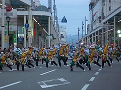 IMGP0908