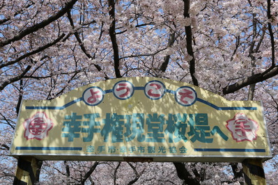 IMG_0917