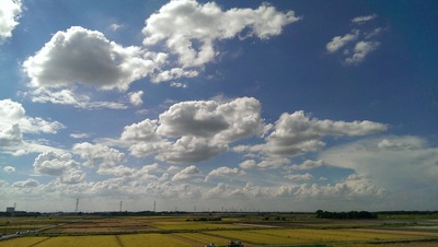 IMAG0005