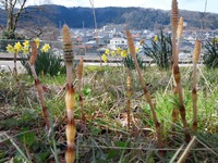 55939373_2189811931110641_330755826601951232_n