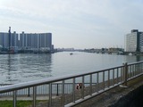 江戸川サイクリングロード
