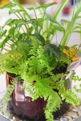 s-IMG_1644