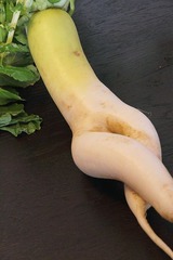 セクシー,大根3