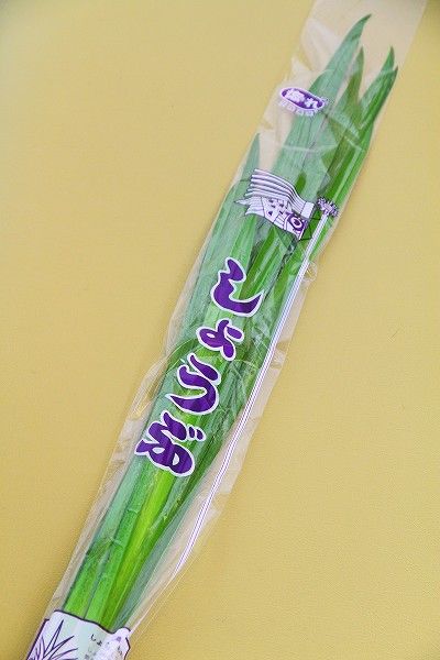 菖蒲湯 効能 端午の節句 菖蒲の節句 5月5日こどもの日は菖蒲湯 戸田市の理容室hair Sasaki ブログ ヘアーサロン理容ササキ 菖蒲湯 効能 端午の節句 菖蒲の節句 5月5日こどもの日は菖蒲湯 戸田市の理容室hair Sasaki ブログ ヘアーサロン理容ササキ