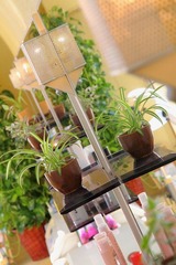 s-IMG_1642