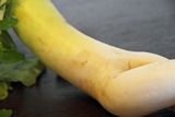 セクシー,大根2