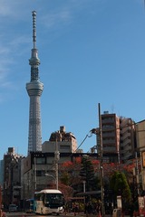 スカイツリー