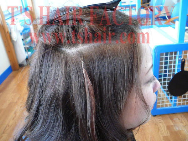 超音波エクステ ティーズ ヘアカタログ プロダクツ