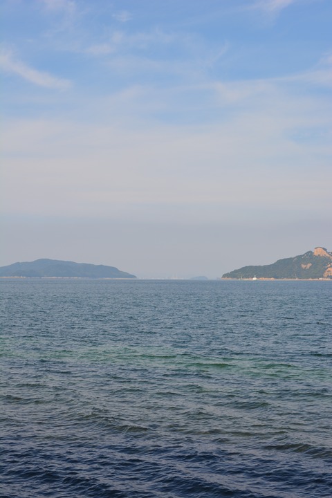 写真 9