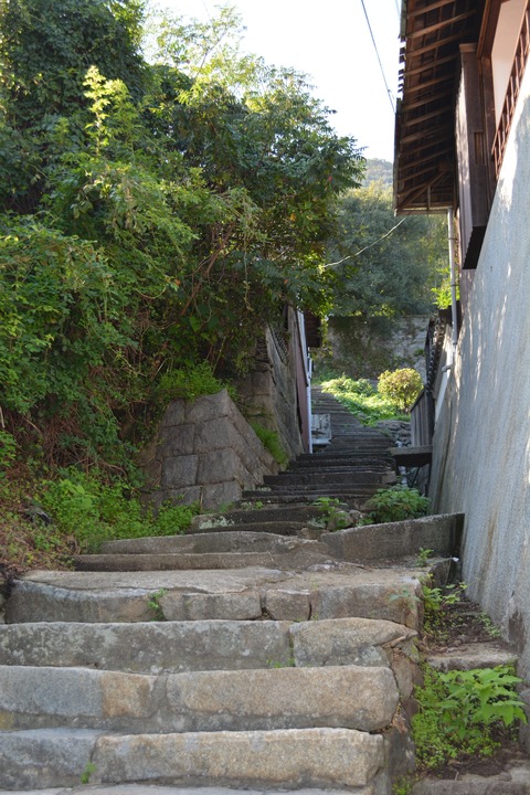 写真 5
