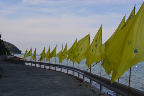 写真 20