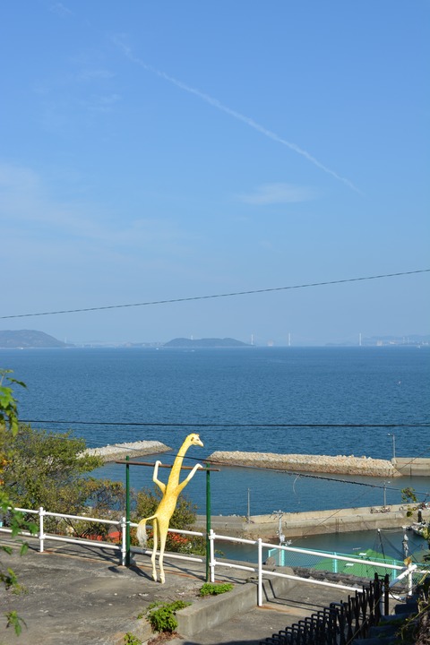写真 29