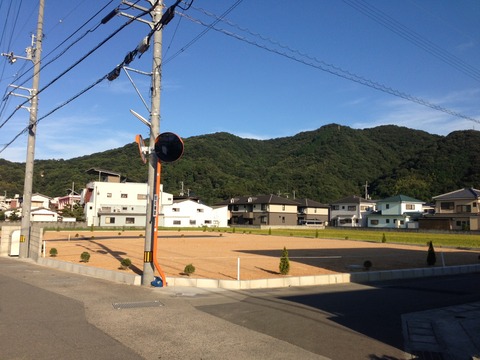 写真 5