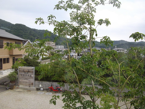 IMGP0026
