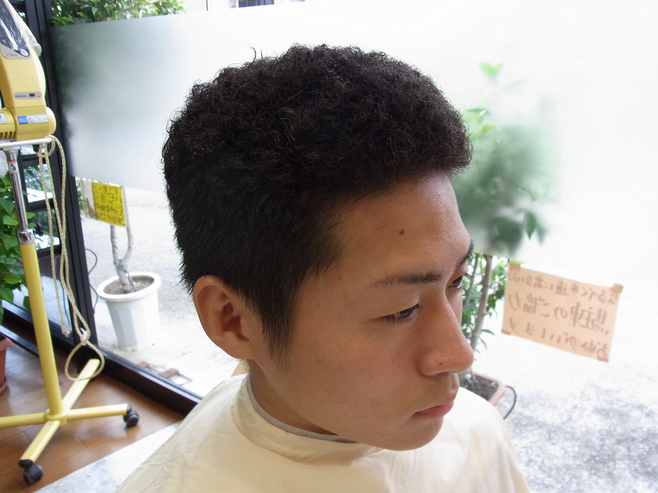 ニグロさん その後 ヘアモードモリシマのブログ ニグロさん その後 ヘアモードモリシマのブログ