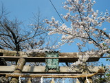 P1180586