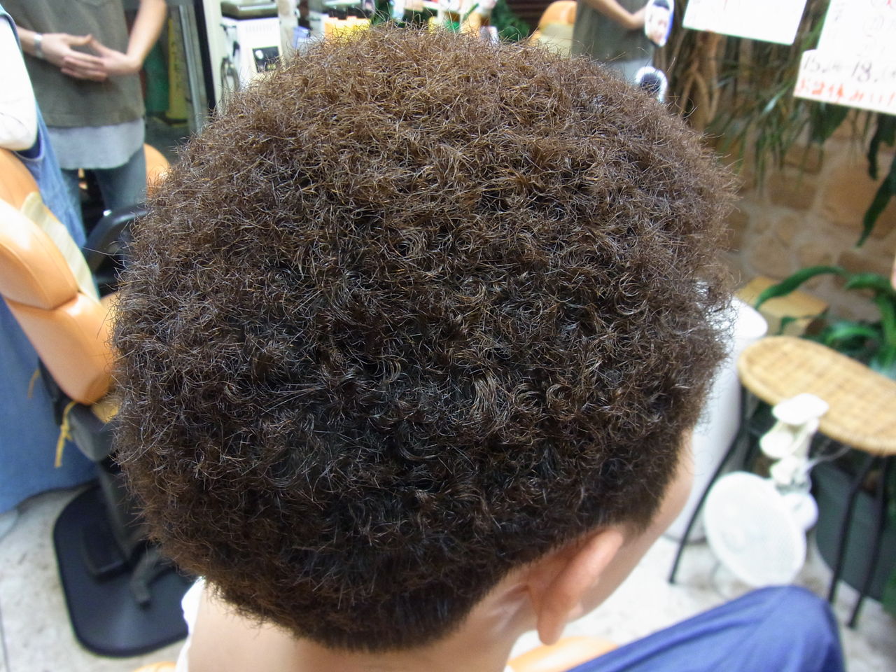 探偵 ナイトスクープ その3 ヘアモードモリシマのブログ 探偵 ナイトスクープ その3 ヘアモードモリシマのブログ