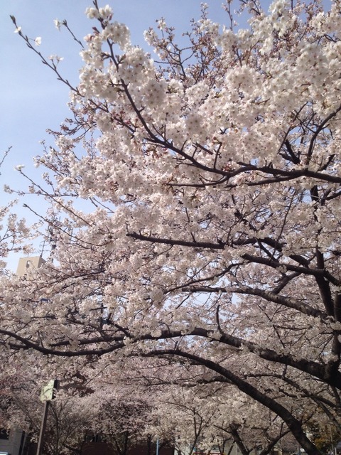 2014-03-31-14-42-01
