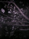 05-04-09_23-52.jpg