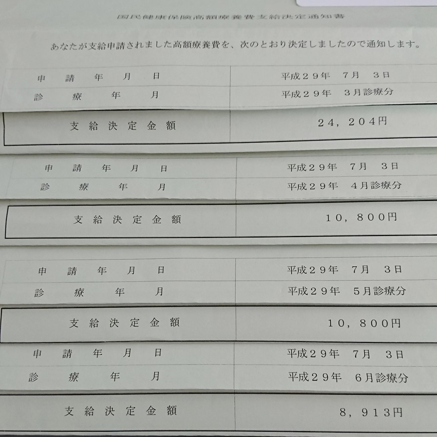 費 高額 書 医療 申請