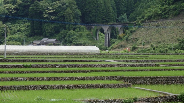 P6200050