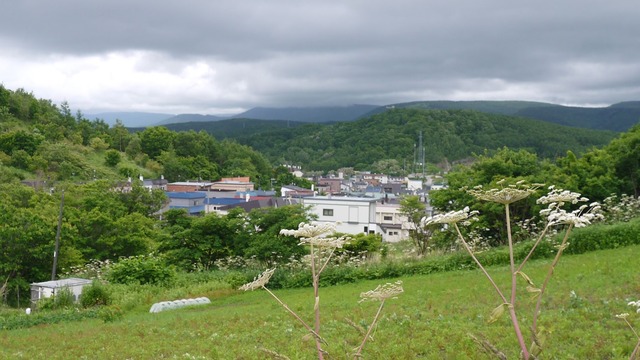 P1050610