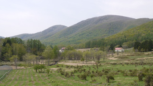 P1060811
