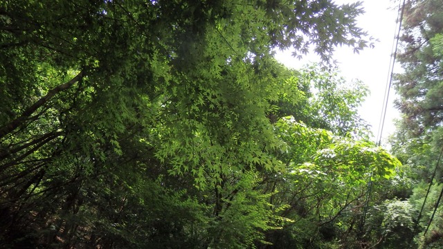 P6280056