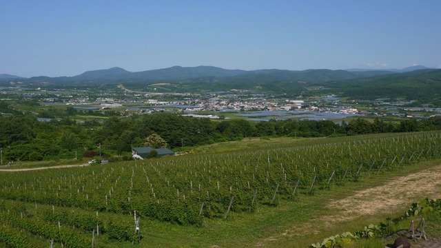 P1070053