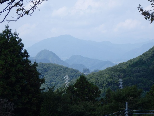 P9050022