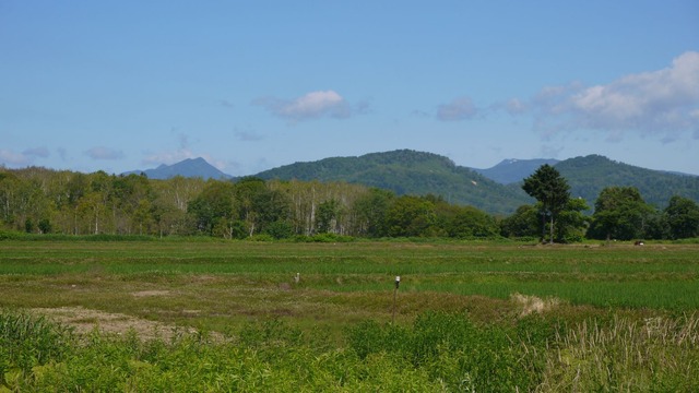 P1070094