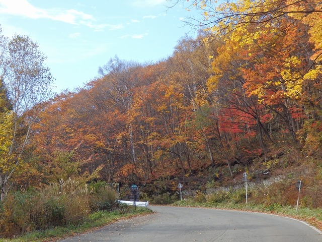PA300251